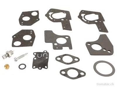 Briggs & Stratton Ersatzteil Vergaser-Überholungssatz 495606