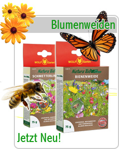 Wolf Garten Natura Bio Beinenweide und Schmetterlingsweide