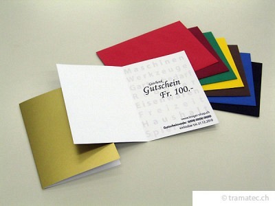 Geschenk-Gutschein Fr. 100.-