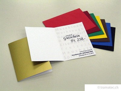Geschenk-Gutschein Fr. 250.-