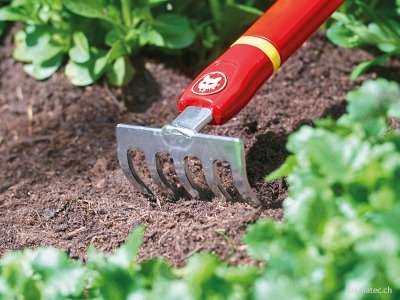 WOLF-Garten multi-star® Kleinkremmer LJ-M
